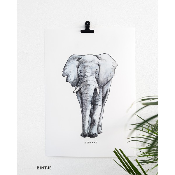 Poster 50x70 Olifant - 5 stuks Poster 50x70 Olifant - 5 stuks